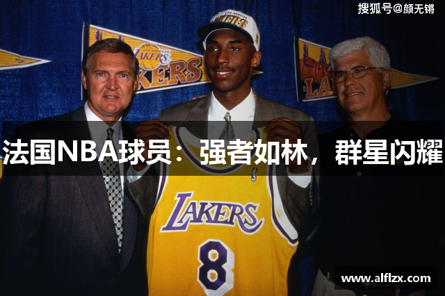 法国NBA球员：强者如林，群星闪耀